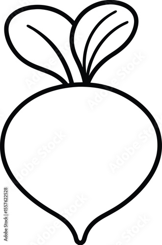 Simple Line Drawing of a Beetroot Fresh Vegetable Illustration