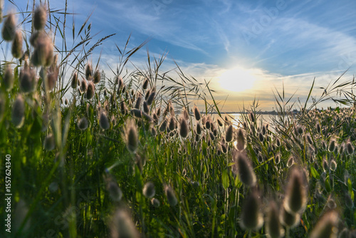 Couché de soleil