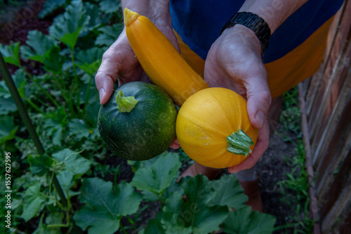 one yellow round, one yellow long and one green round zucchini in hands.