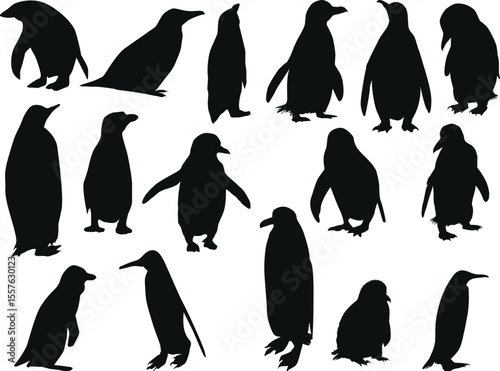 sixteen penguins isolated on white background