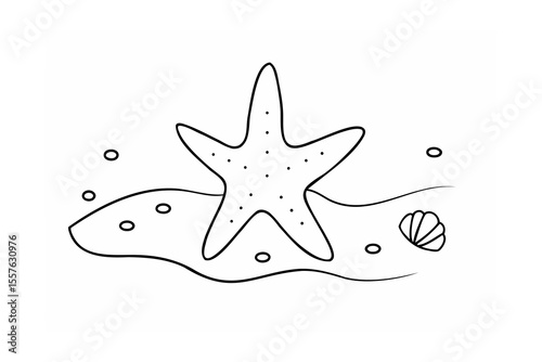 Starfish seashell and sand dunes ocean