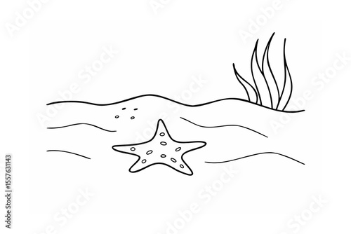 Starfish and seaweed on ocean floor underwater marine life