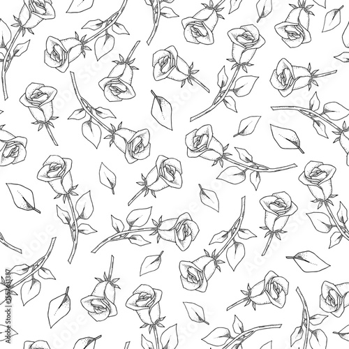 Vintage seamless pattern. Floral black and white background. Garden flowers roses.
