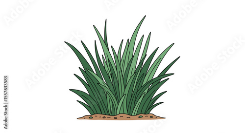 A Lush Clump of Green Grass Growing in Rich Soil