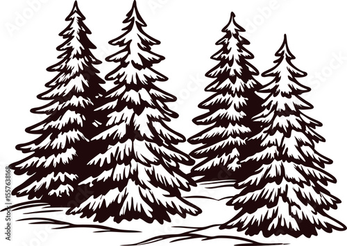Hand drawn illustration of snowy fir trees in winter forest isolated on white background