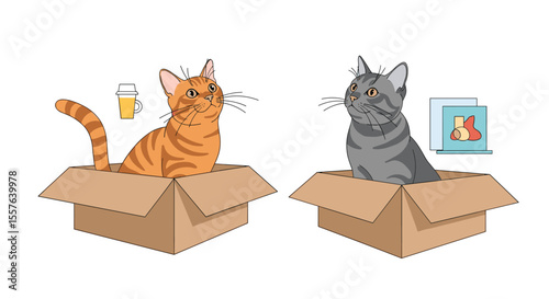 Two Curious Cats Safely Snug in Cardboard Boxes Observing Their Surroundings