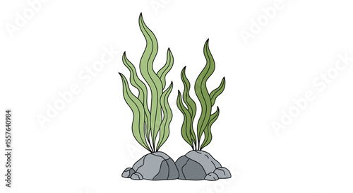 Green Aquatic Plants Growing From Rocks on the Ocean Floor Providing a Natural Underwater Habitat