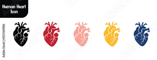 "Human heart icon vector.  Medical symbol illustration isolated on white."