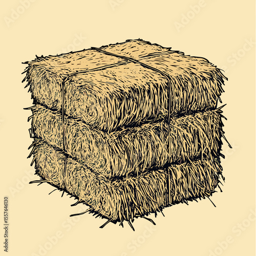 Hand drawn detailed sketch of stacked rectangular hay bales tied with twine in rustic farm agricultural style vector illustration
