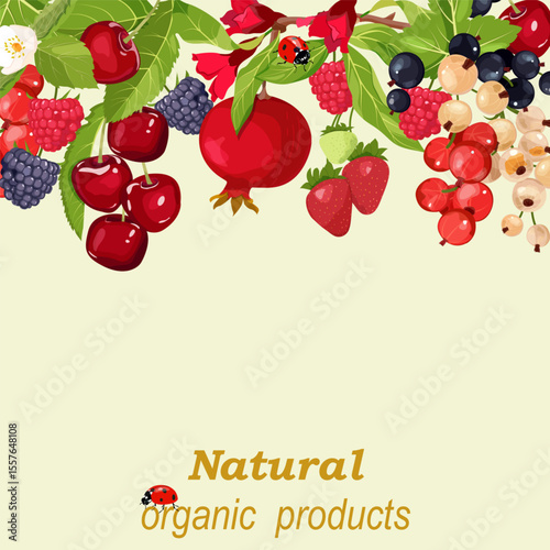 Pattern of forest, garden berries and pomegranate on a isolated background with place for your text. Vector illustration. Template for juice, jams, cosmetics, web design.