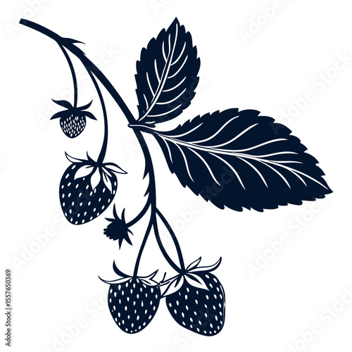 vector illustration of dangle berry