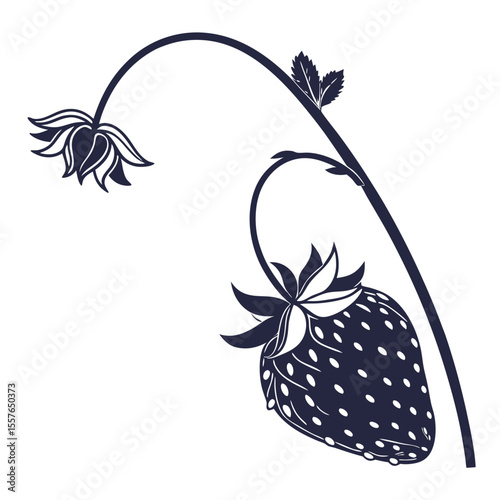 black and white dangle berry