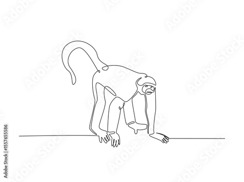 Wild monkey in single outline illustration. Continuous line art drawing of monkey.