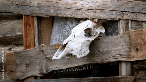 Summer. Day. Old abandoned wooden house