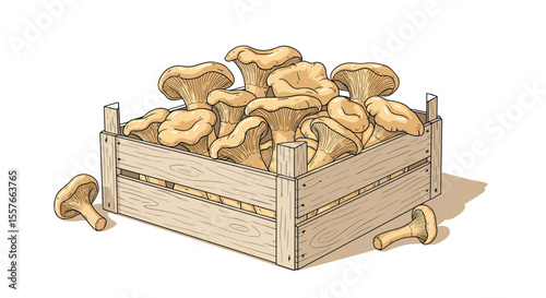 Wooden box full of forest mushrooms watercolor illustration for food design