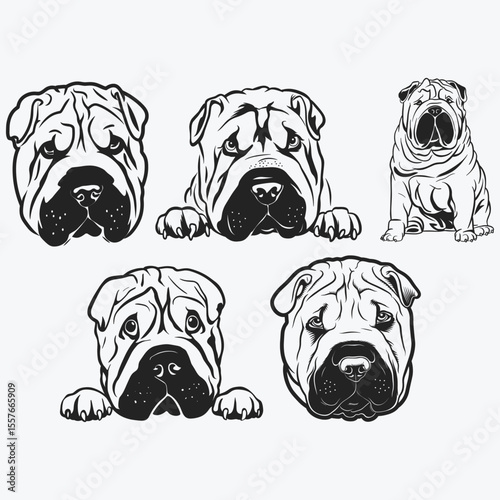 Shar pei svg, dog svg files for Cricut, face head clipart, laser cut vector model, dxf files for plasma cnc, peeking