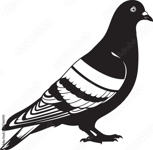 Elegant black and white silhouette of a pigeon.