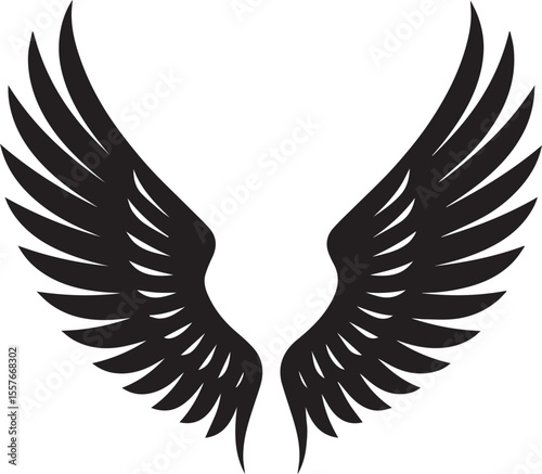 Elegant black wings symbol of freedom and power.