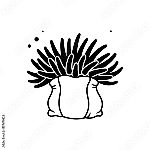 Illustration of a sea anemone in black and white silhouette