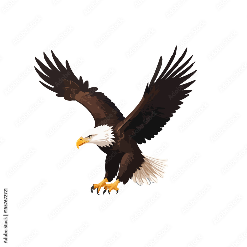 Obraz premium bald eagle illustration on white background