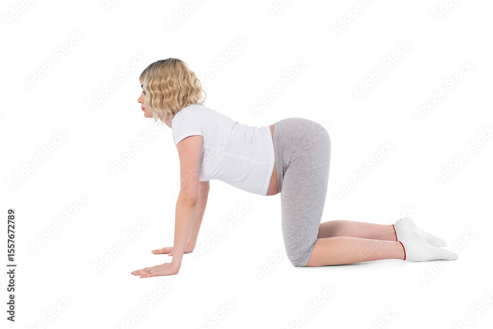 Pregnant woman practicing yoga in a comfortable home setting during a serene afternoon session Pregnant woman practicing yoga in a comfortable home setting during a serene afternoon session