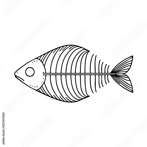 Fish skeleton in a stylized line drawing on a beige background representing paleontology or anatomy