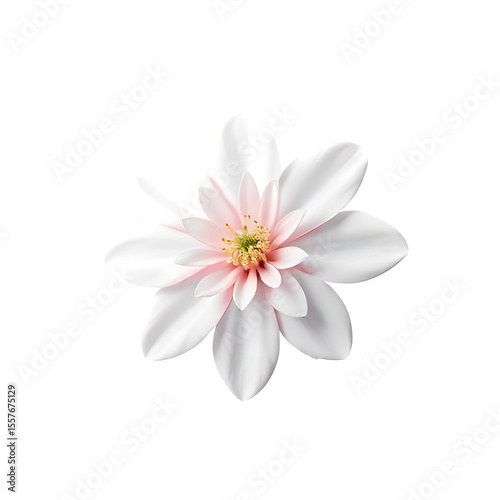 3D Flower PNG