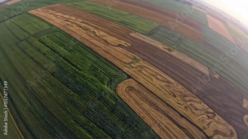 Agricultural landscape transforming, golden wheat fields ripening under sunlight, revealing seasonal harvest with mature crops swaying gently before collecting