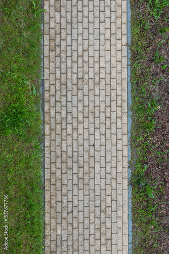 Top-Down View of Straight Brick Paver Pathway with Grass Borders