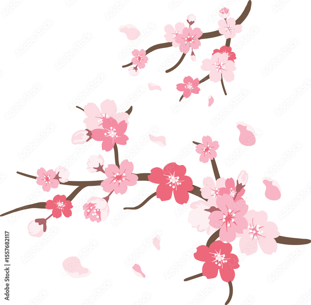 Naklejka premium Sakura Blossom Elegance: Graceful Sakura branches, adorned with delicate pink flowers and gentle petal scattering, capture the essence of spring beauty and fleeting moments.