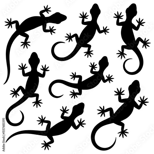 Silhouettes of seven black lizards spread