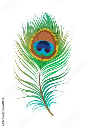 Vibrant Peacock Feather: Close-up Detailed Illustration