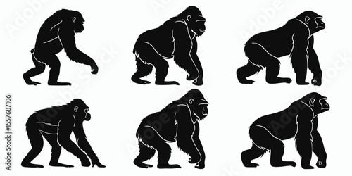 Silhouette Evolution of Gorillas: Black and White Animal Illustration