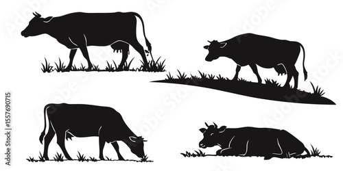 Black Silhouette Cows Grazing in Grass, Farm Animal Vector Illustration