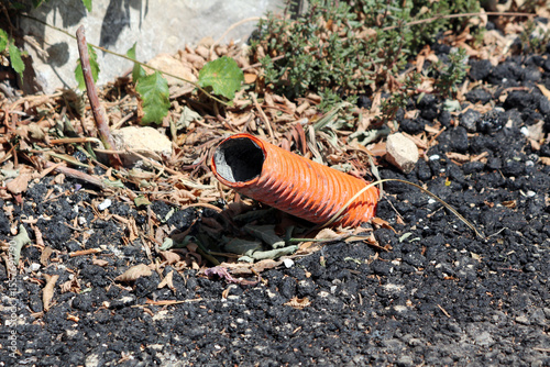 A broken orange pipe lies on rough asphalt and dry plant debris, highlighting urban waste amid wild ground ivy glechoma hederacea and other vegetation