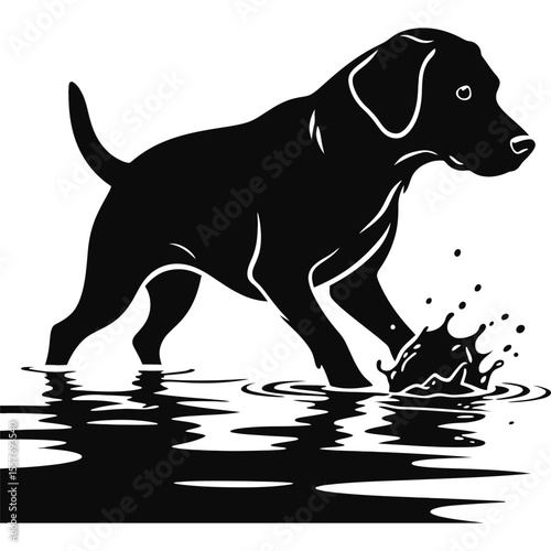 Black Labrador Retriever in Water A Stunning Silhouette Illustration