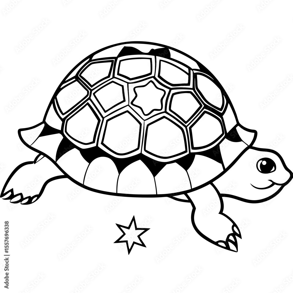 Fototapeta premium indian-star-tortoise---domed-shell---star-pattern