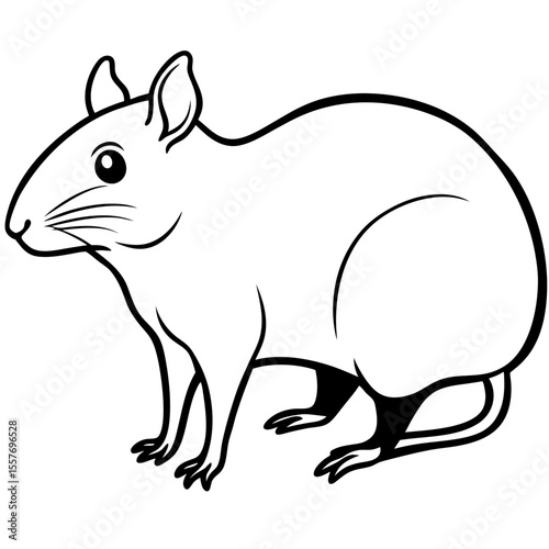 agouti---rodent-shape---small-face---long-legs