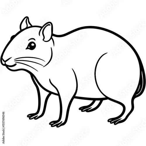 agouti---rodent-shape---small-face---long-legs