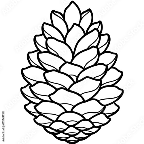 Botanical Pine Cone Line Drawing Vector