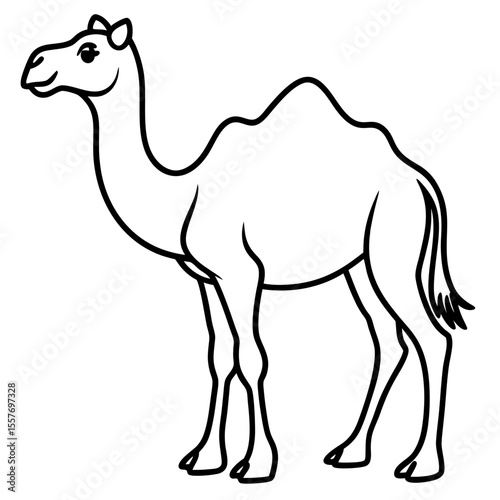 camel---humps---legs-and-face---tail.