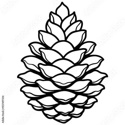 Botanical Pine Cone Line Drawing Vector