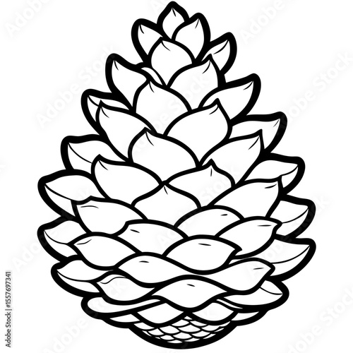 Botanical Pine Cone Line Drawing Vector