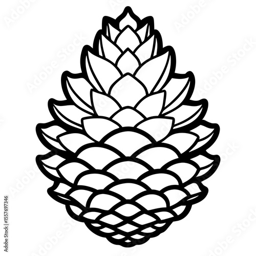 Botanical Pine Cone Line Drawing Vector