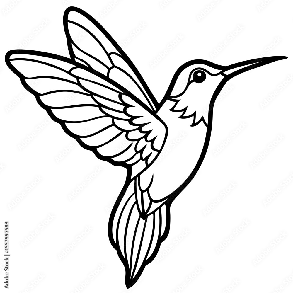 Obraz premium hummingbird---tiny-shape---wings-and-beak---finali 