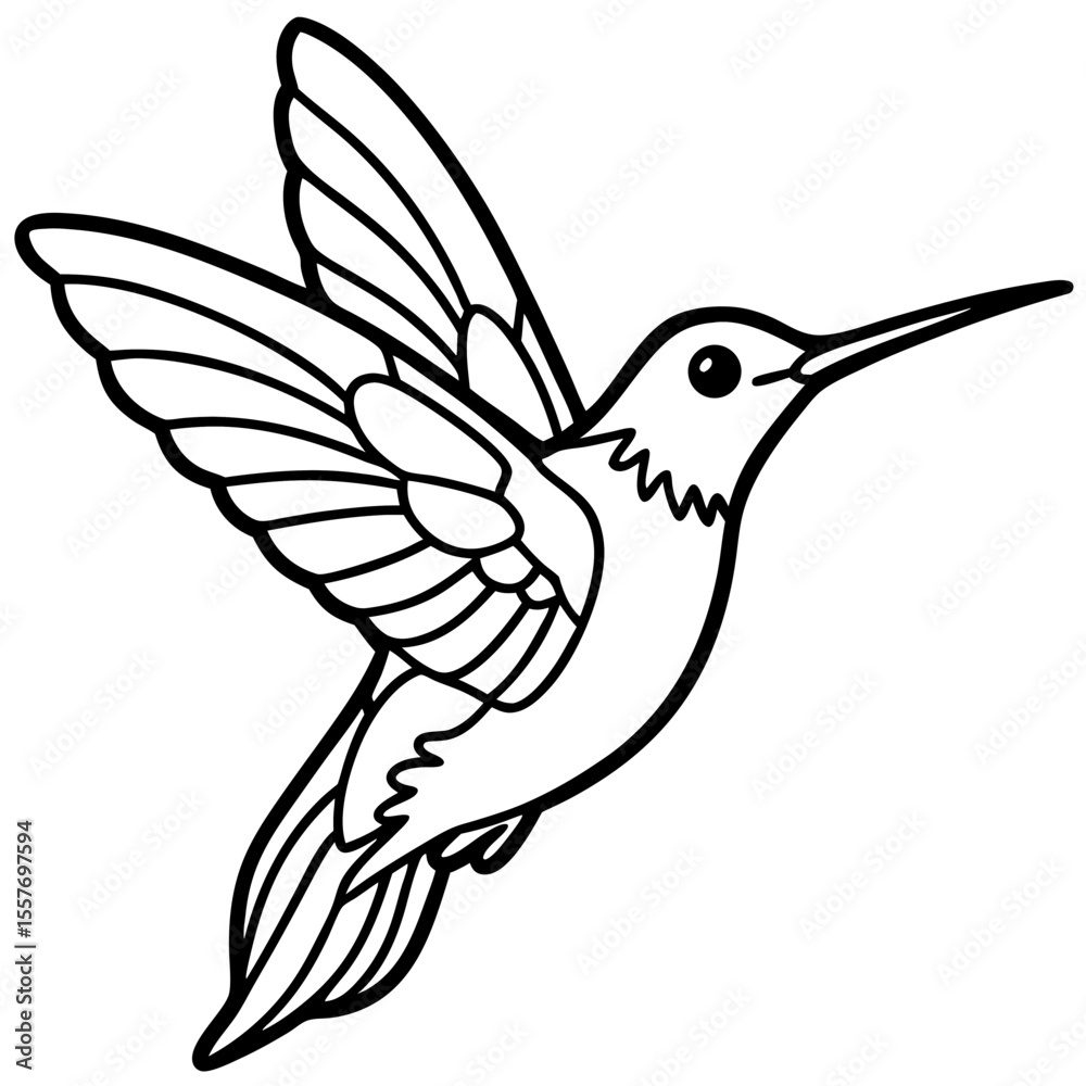 Obraz premium hummingbird---tiny-shape---wings-and-beak---finali