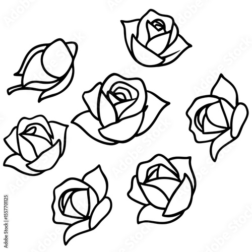rose-petals-scattered-on-white-paper--soft-shadows