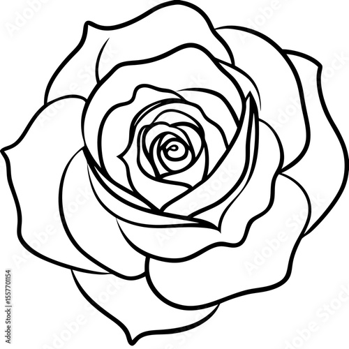  roses-with-morning-dew--macro-photography-style