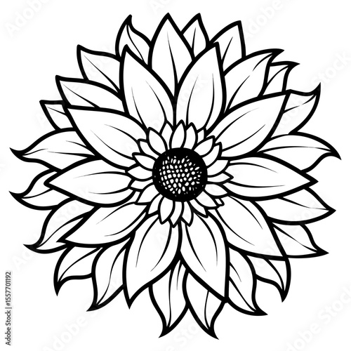 vintage-sunflower-botanical-drawing