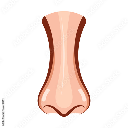 Cartoon Human Nose Front View Vector Illustration. This is a colorful vector illustration of a human nose viewed from the front.